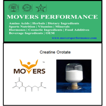 Nutrition sportive: Créatine Orotate avec numéro CAS: 768386-56-7